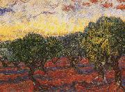 Vincent Van Gogh Olive Grove France oil painting reproduction